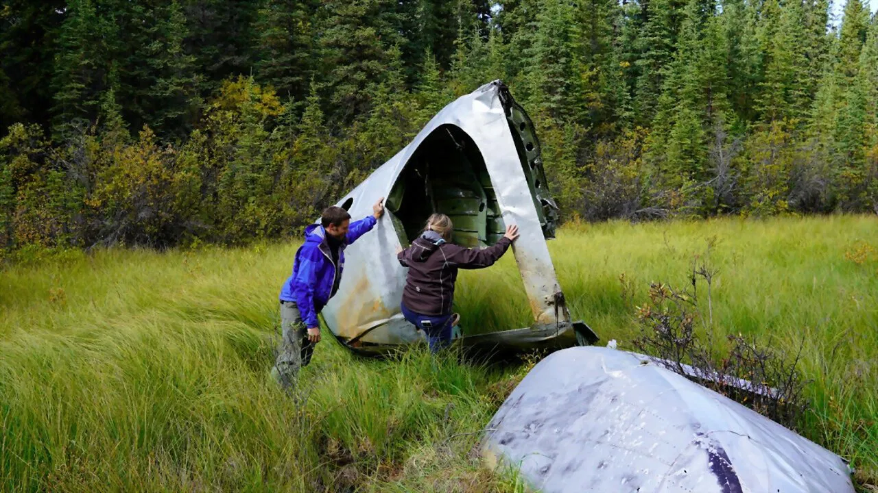 Skymaster Down backdrop