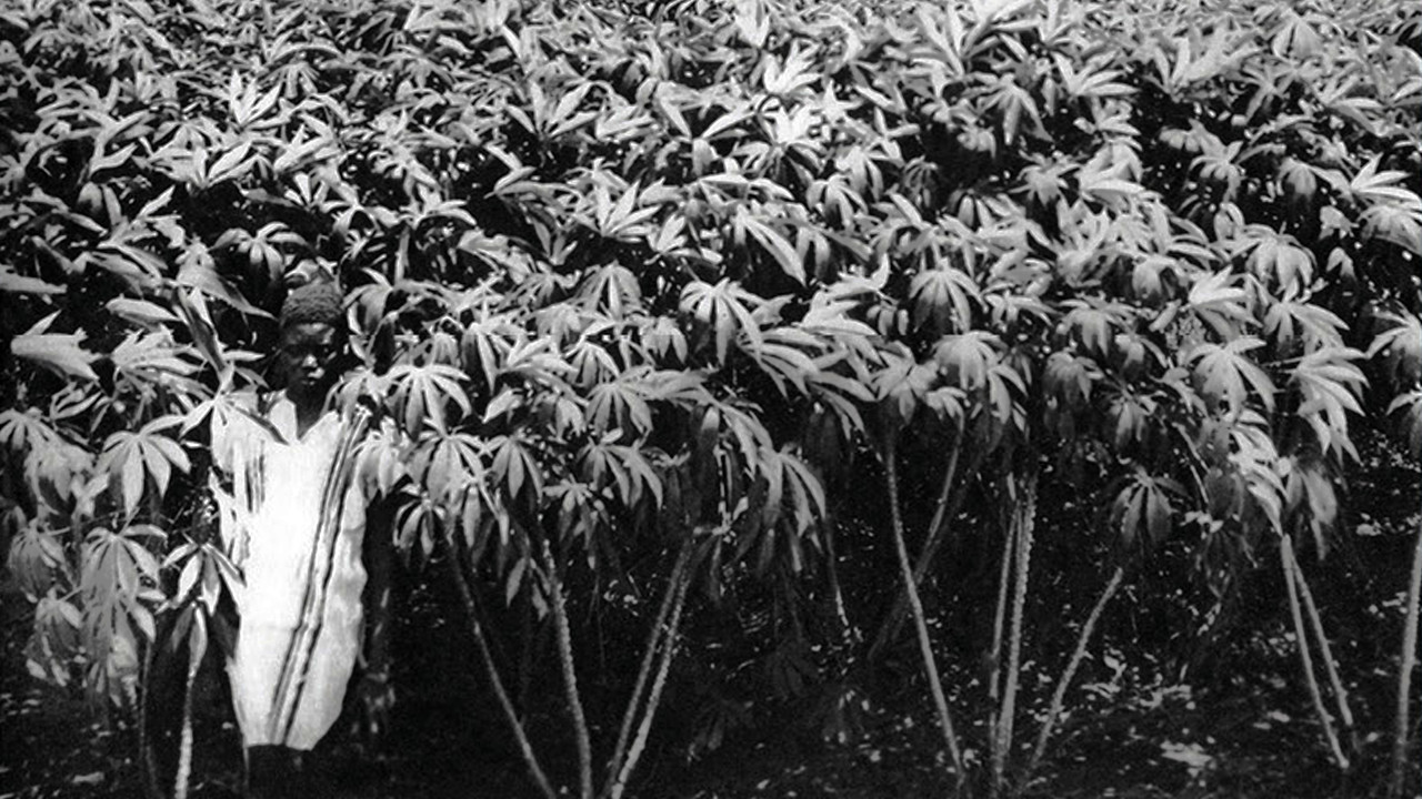 Paysans Noirs backdrop