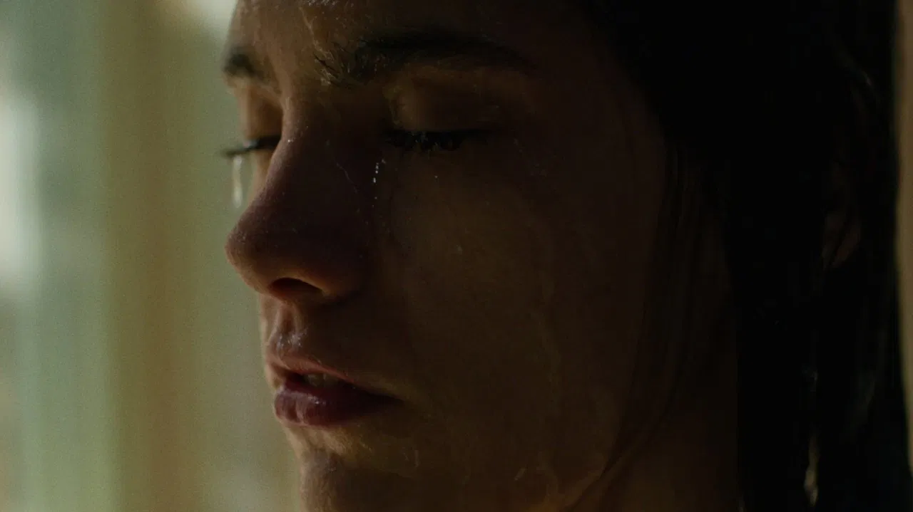 Summer to Come backdrop