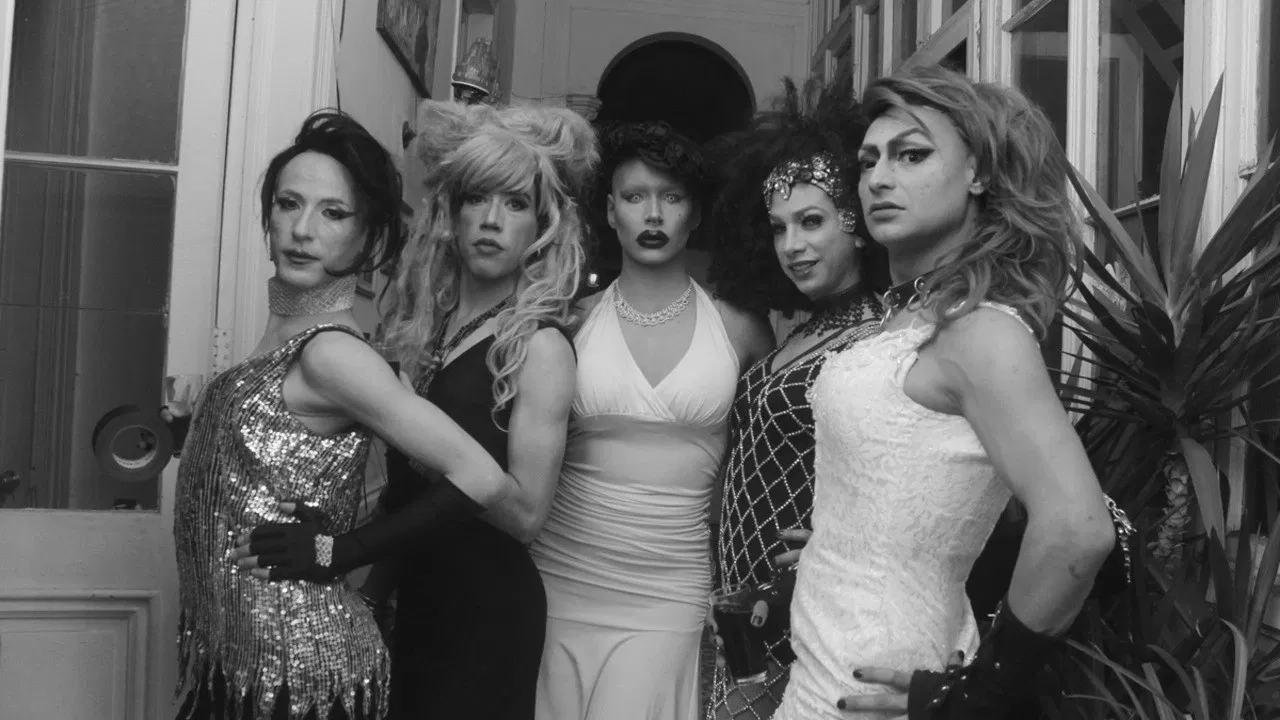 Travesti Odyssey backdrop