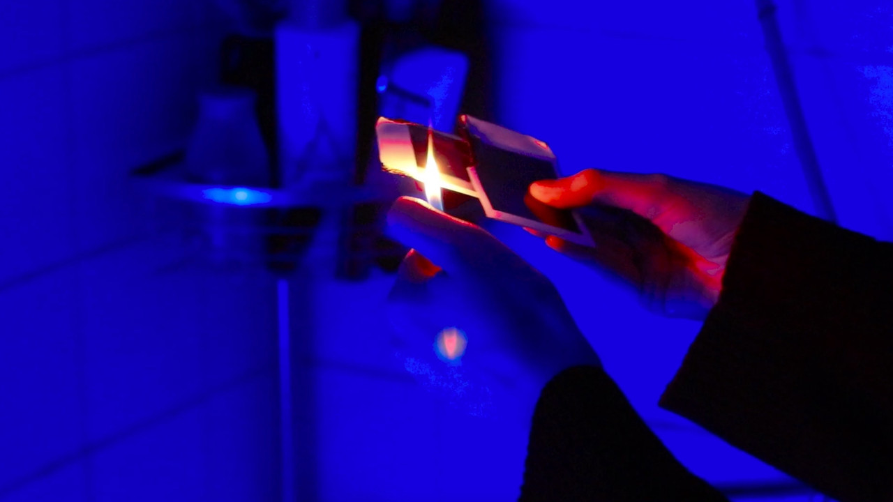 Depth of Field backdrop