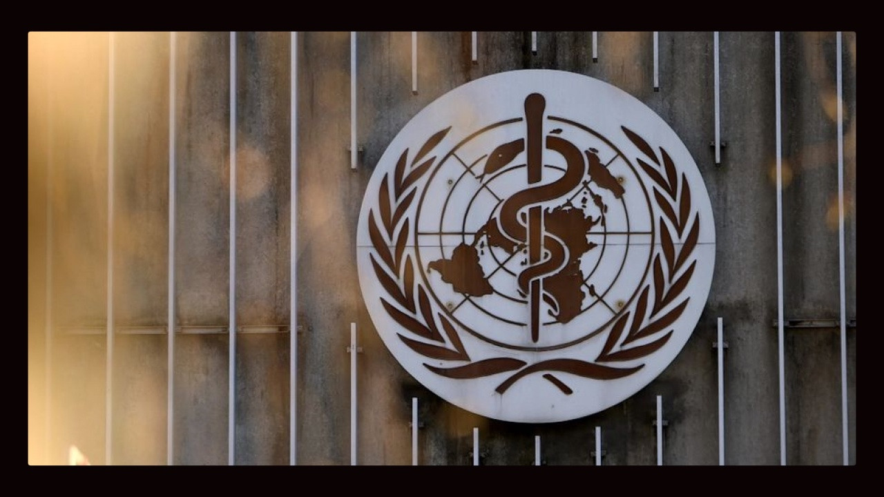 Die WHO - Im Griff der Lobbyisten? backdrop