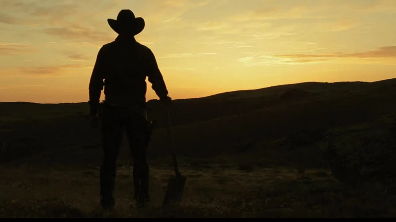 La flor de lis backdrop