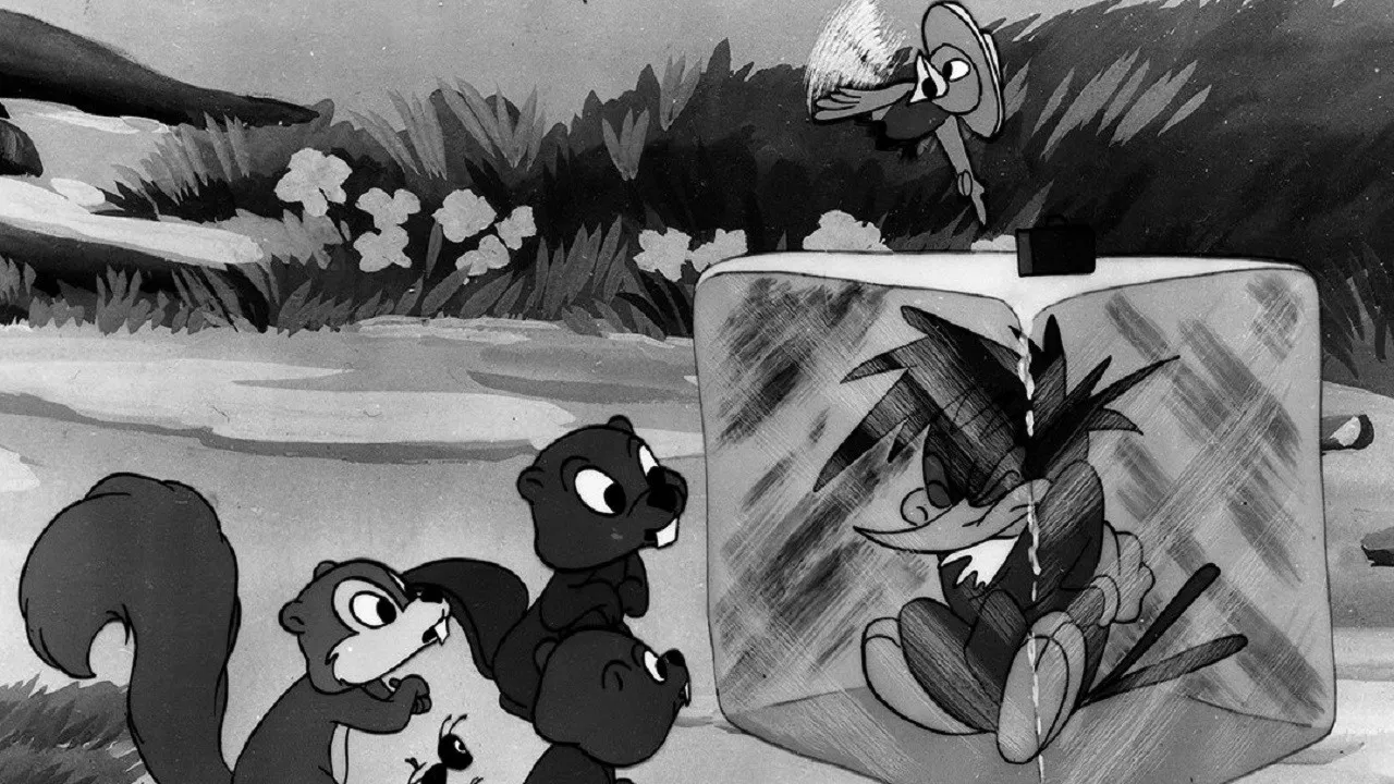 The Redwood Sap backdrop