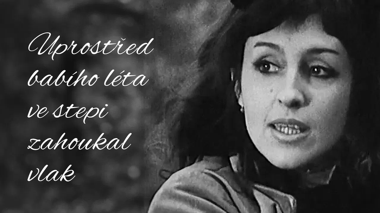 Uprostřed babího léta ve stepi zahoukal vlak backdrop