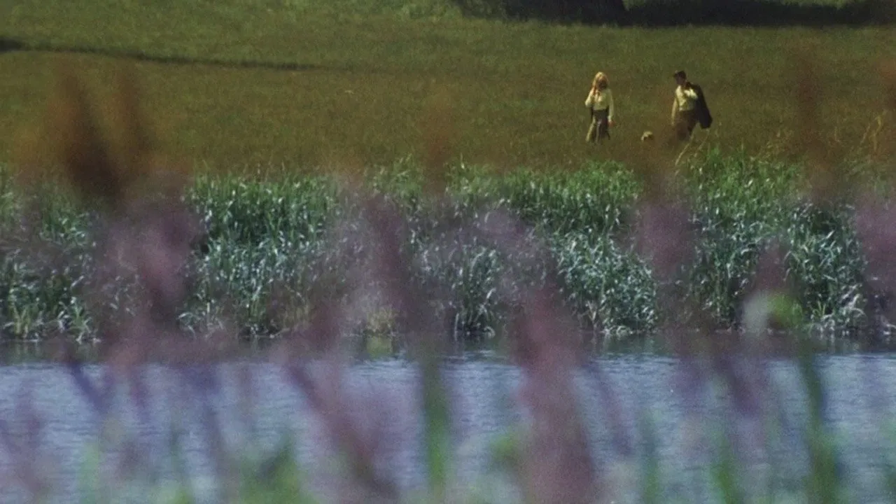 Here We Go Round the Mulberry Bush backdrop