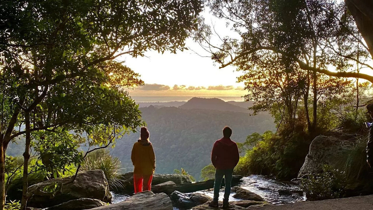 Back to Nature backdrop