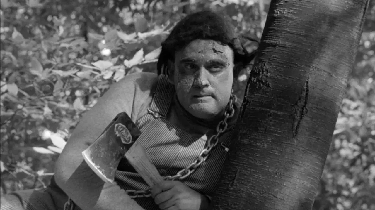 The Monster of Camp Sunshine or How I Learned to Stop Worrying and Love Nature backdrop