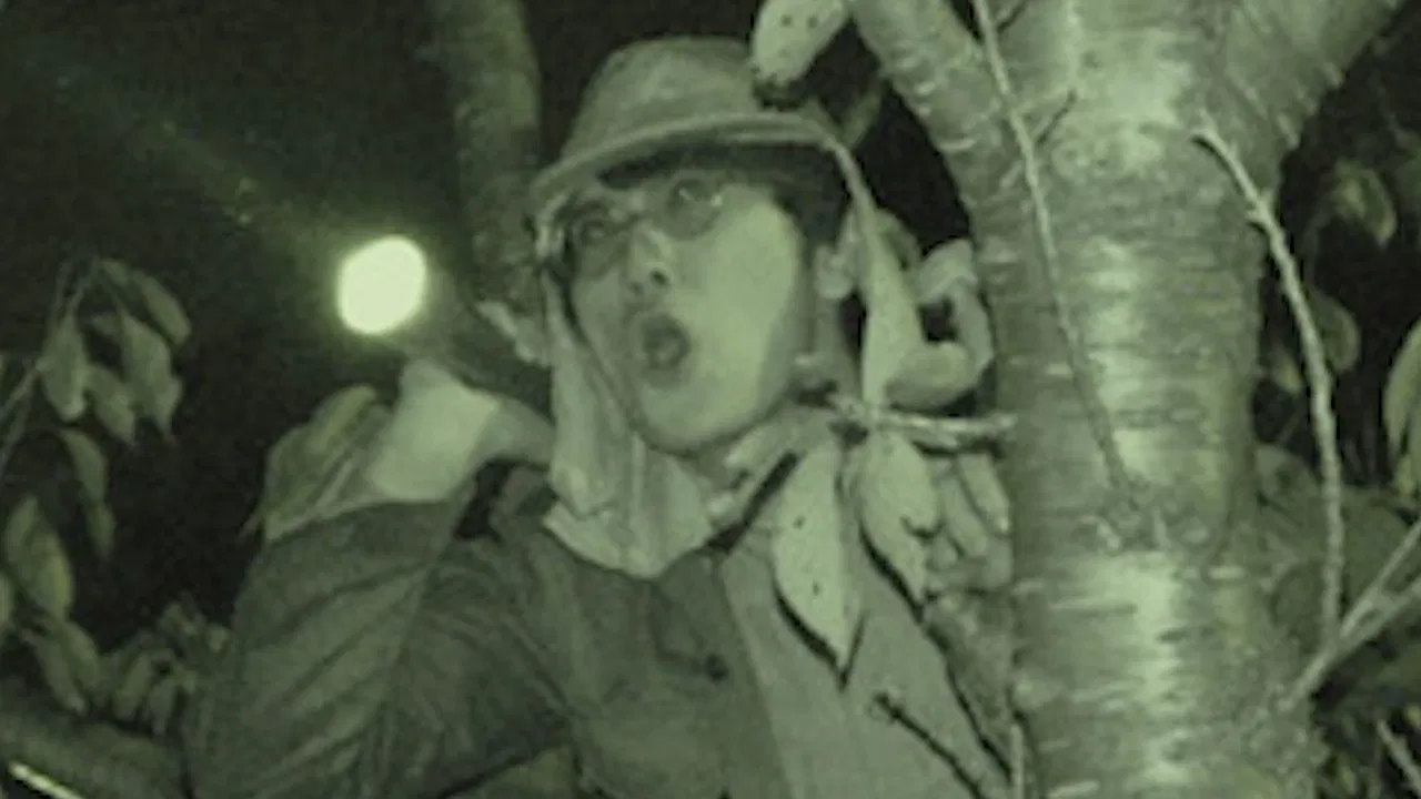 Spirit Spiral 002 backdrop