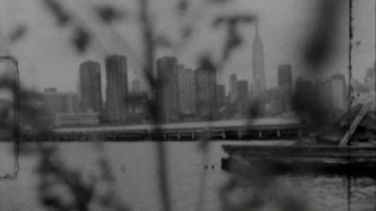 Long for the City (Patti Smith in New York) backdrop
