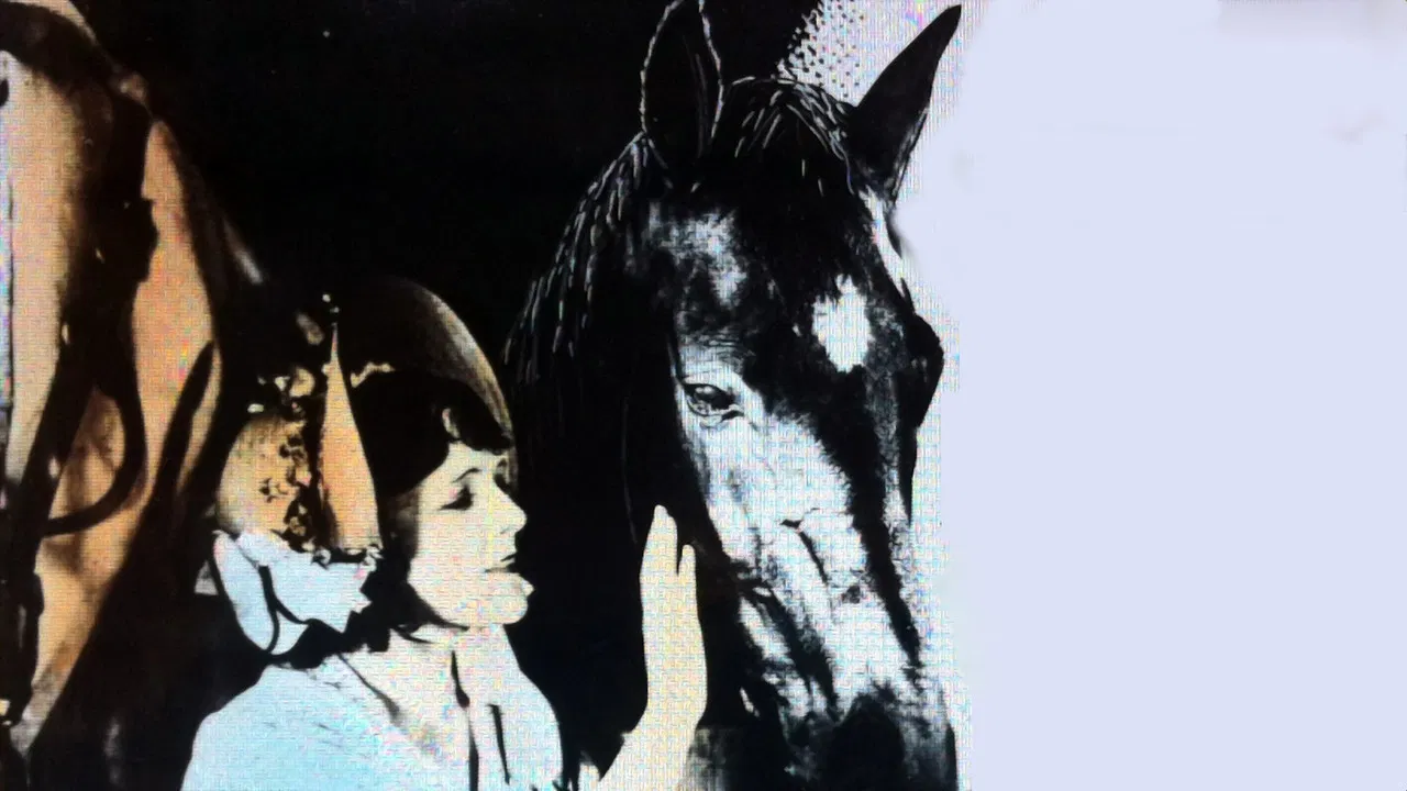 Black Beauty backdrop