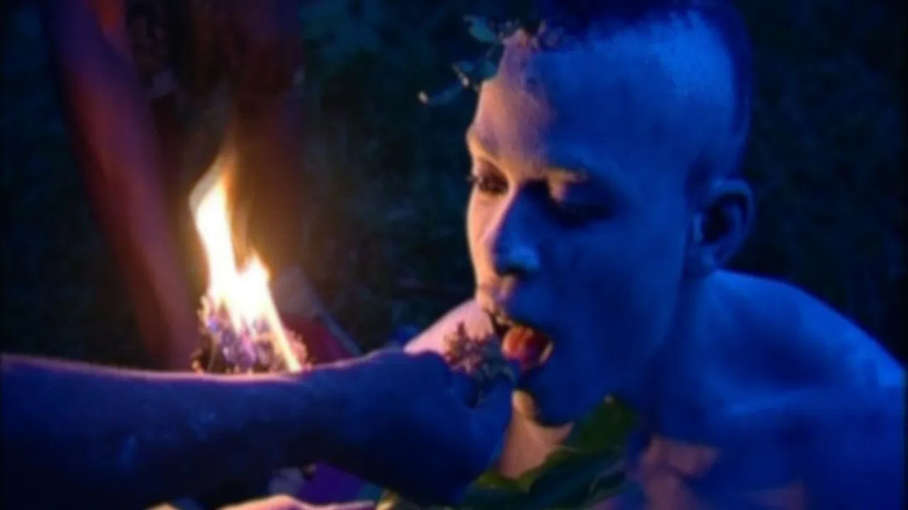 L'Iboga: Les Hommes du bois sacré backdrop