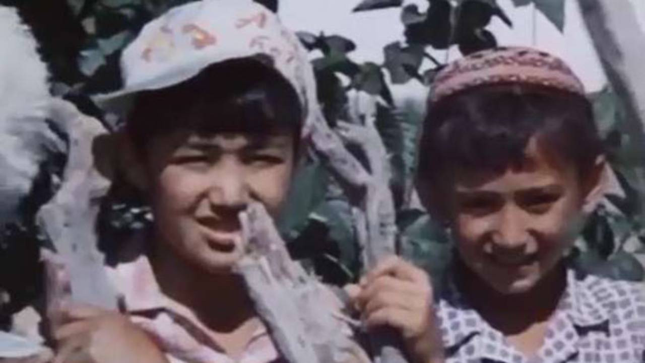 Sahat's Summer backdrop