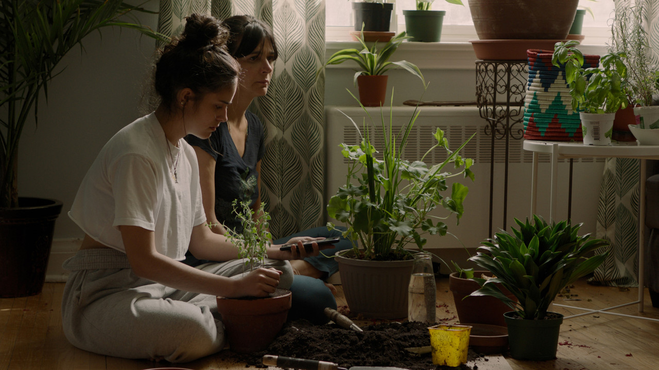 So Much Tenderness backdrop