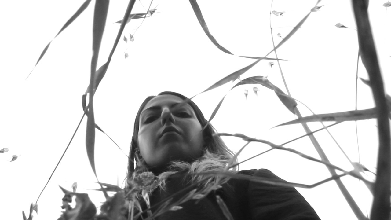 Vita Mors Est backdrop