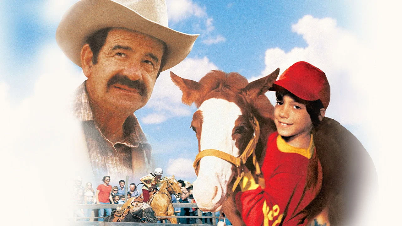 Casey's Shadow backdrop