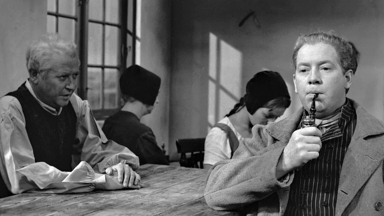 Hosekræmmeren backdrop