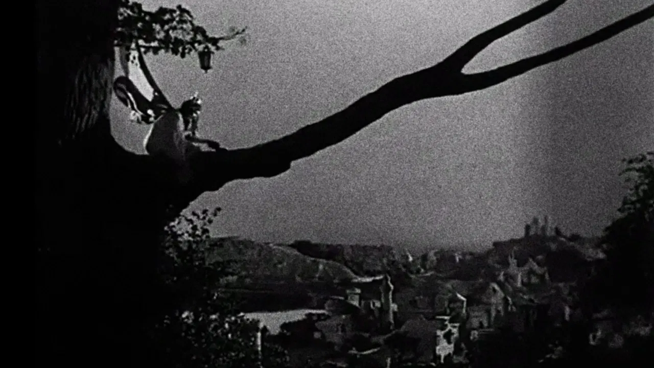 Enchantment backdrop