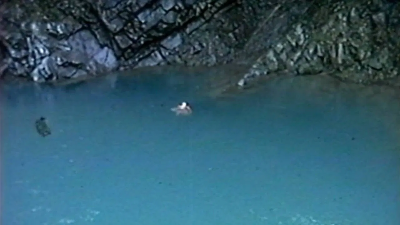 Axolotl Wooper Looper’s Lair backdrop