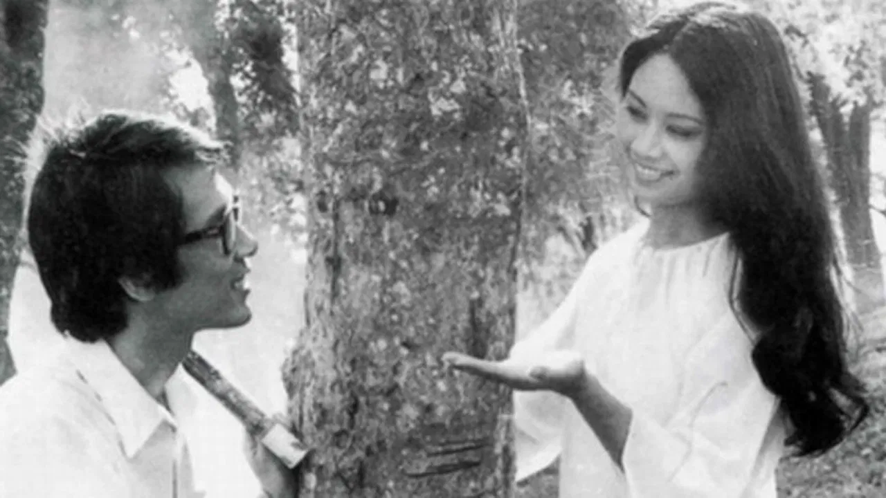 The Town Within Reach backdrop