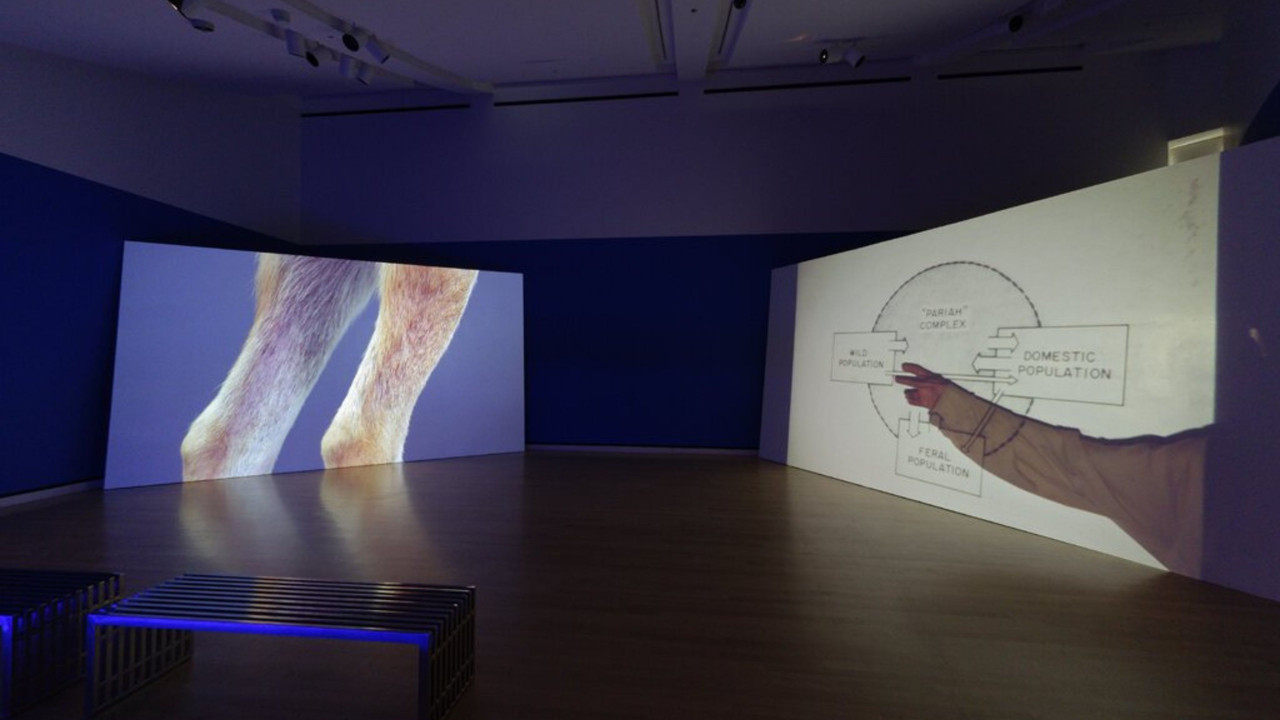 Heavy Water backdrop