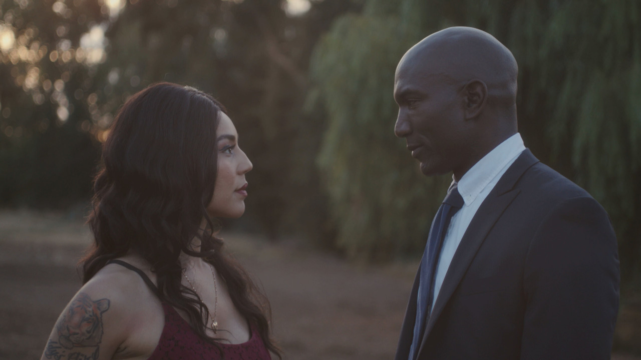 The Contrast backdrop