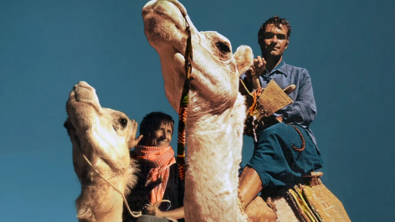 Nomad Meeting, The Path Of Odette And Jean-Louis Bernezat backdrop