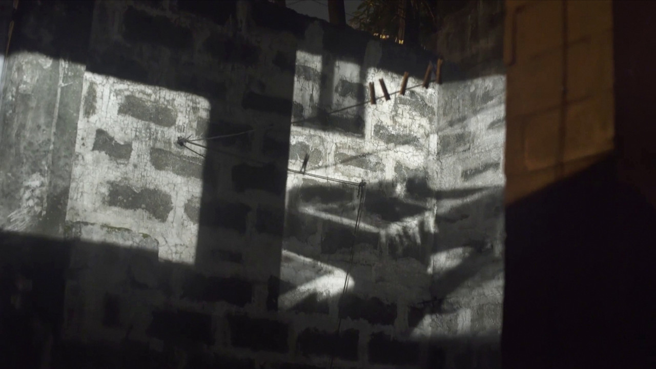 Landscape Project backdrop