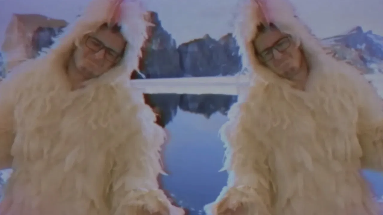 בק בק בק backdrop