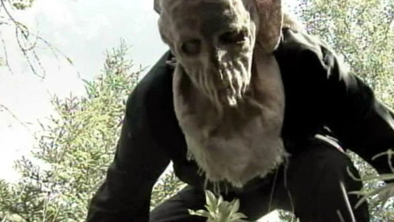 Psycho Holocaust backdrop