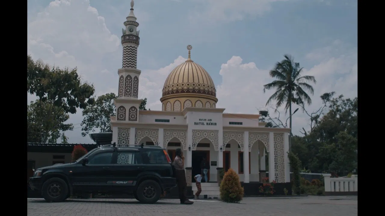 A Cat Can Look at a King backdrop