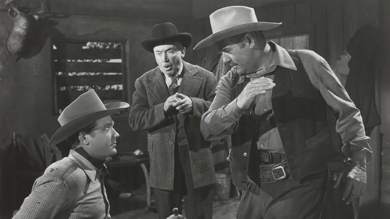 The Timber Trail backdrop