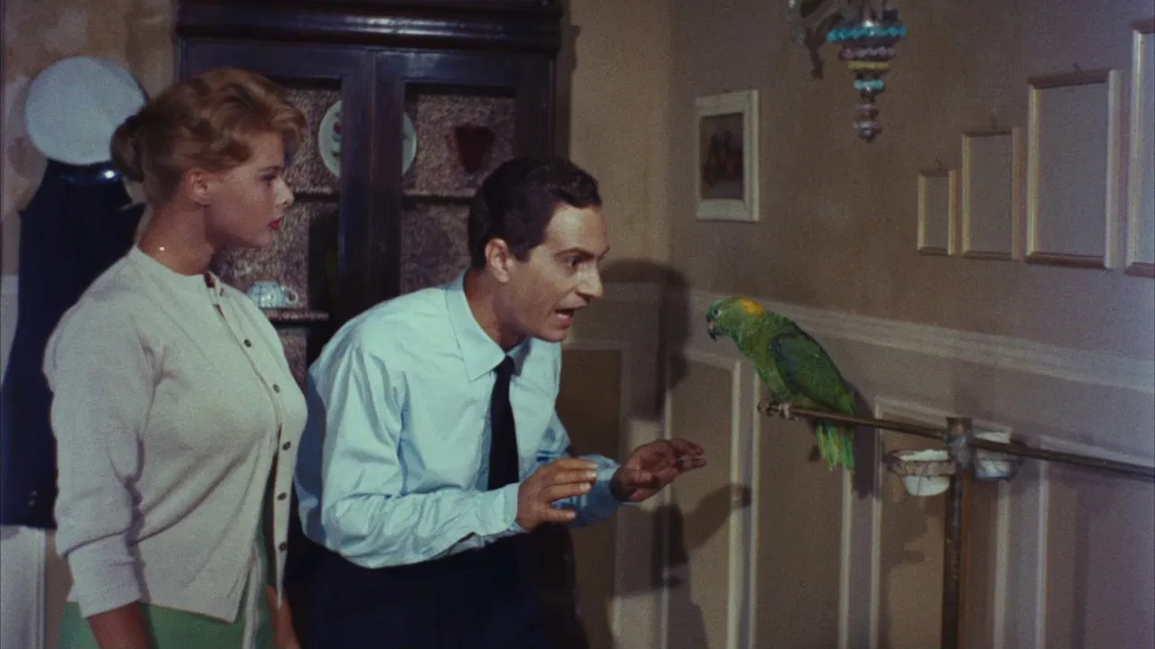 Venice, the Moon and You backdrop