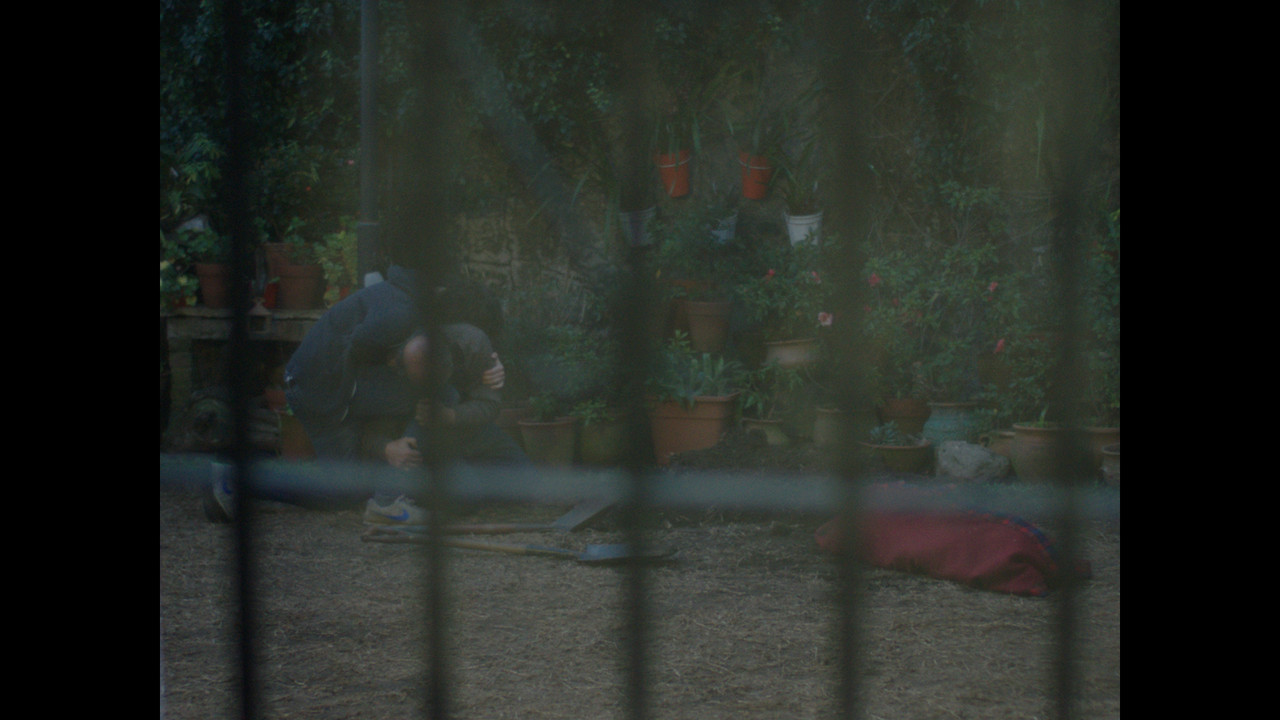 Acá te dejo backdrop