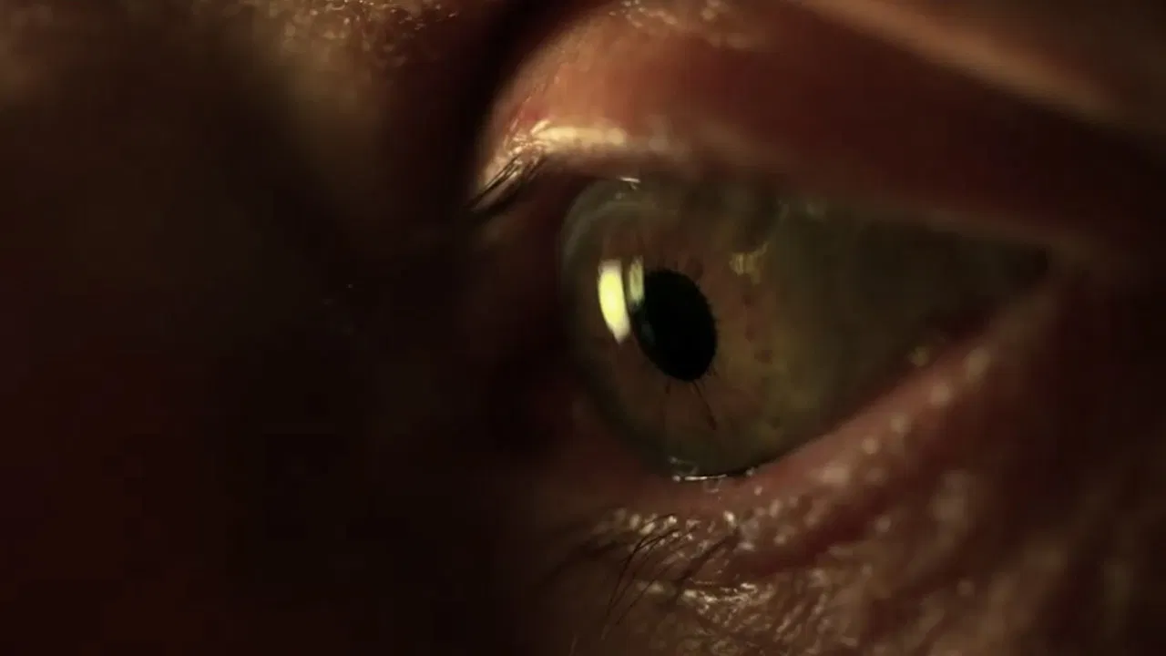 Life's Odyssey backdrop