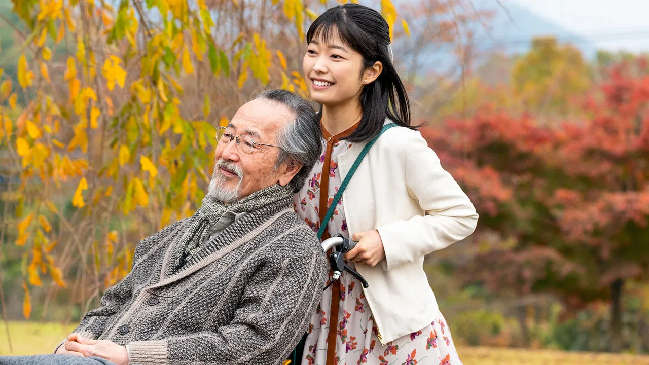 Before the Sunset backdrop