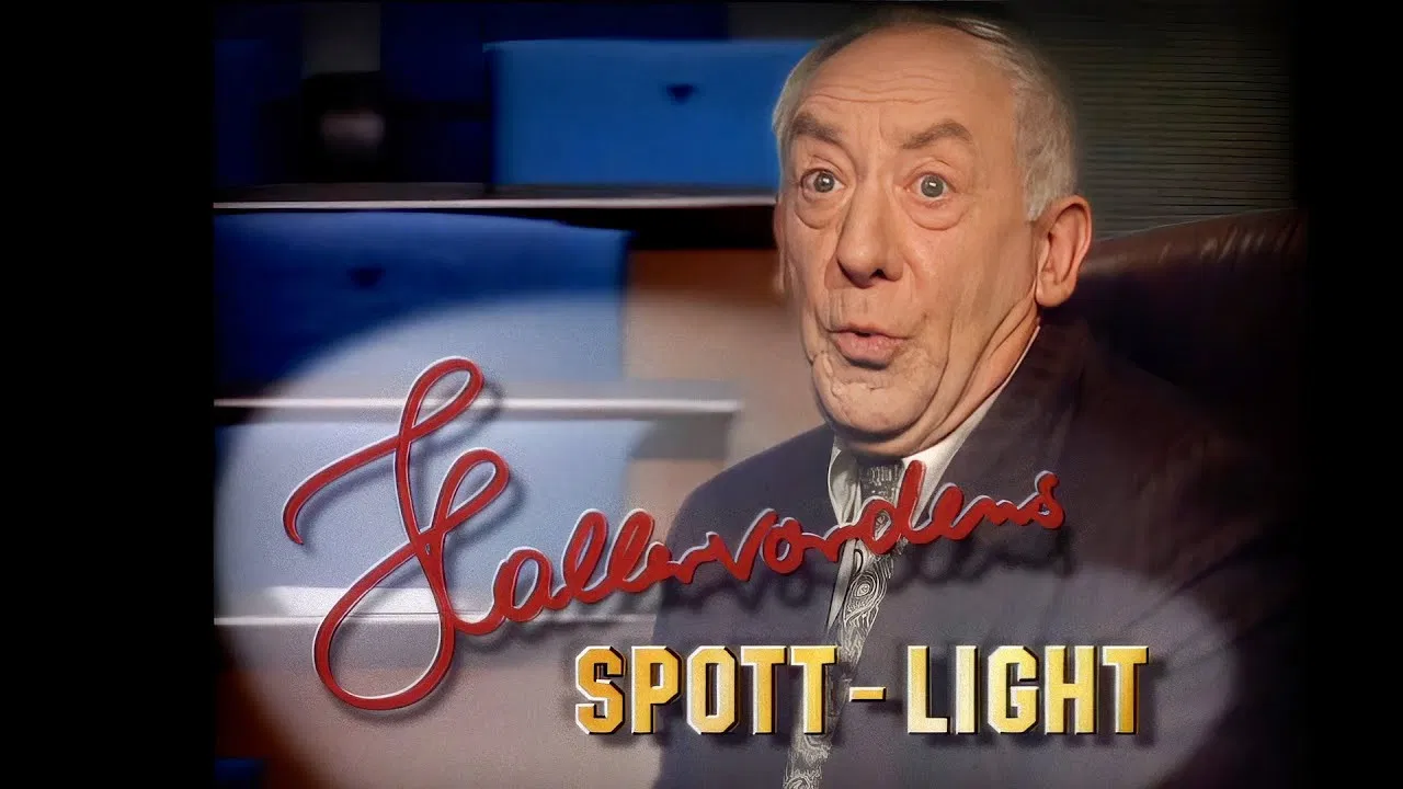 Spott-Light backdrop