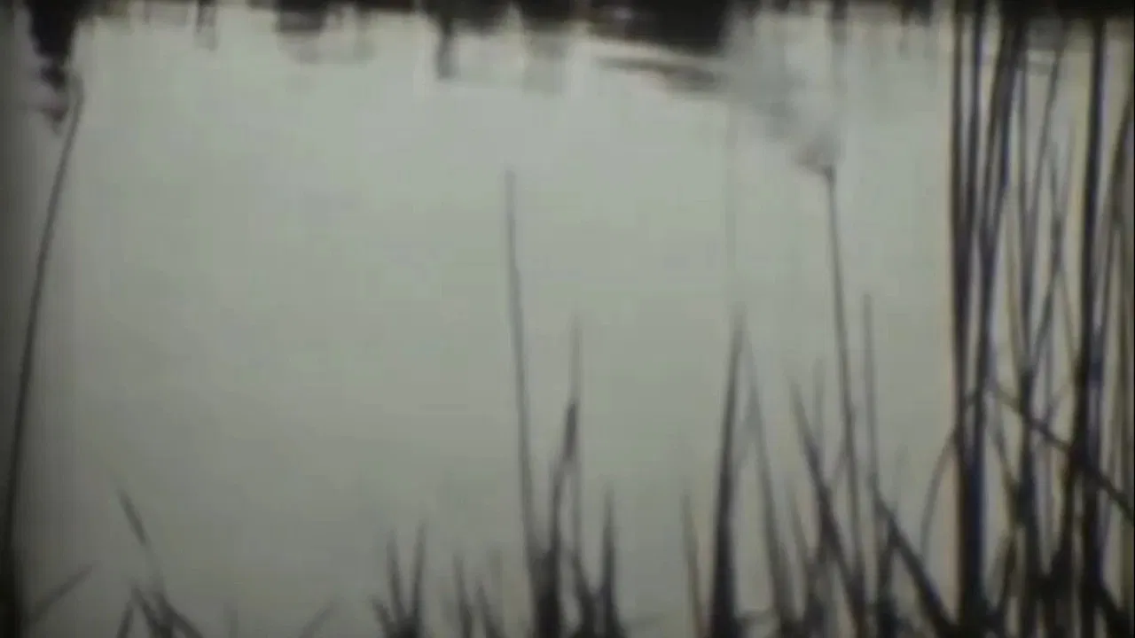 After the Flood backdrop