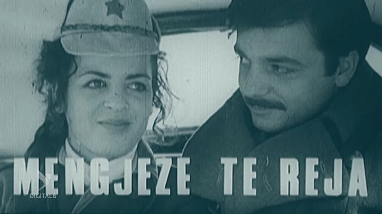 New Mornings backdrop