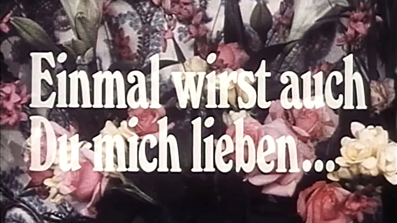 Einmal wirst auch du mich lieben. Über die Bedeutung von Heftromanen backdrop