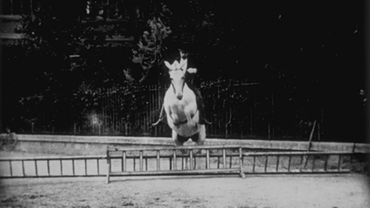 Cheval sauteur backdrop