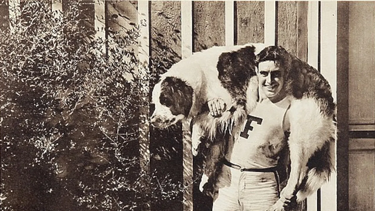 Help! Help! Police! backdrop