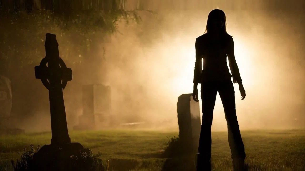 Forget Me Not backdrop