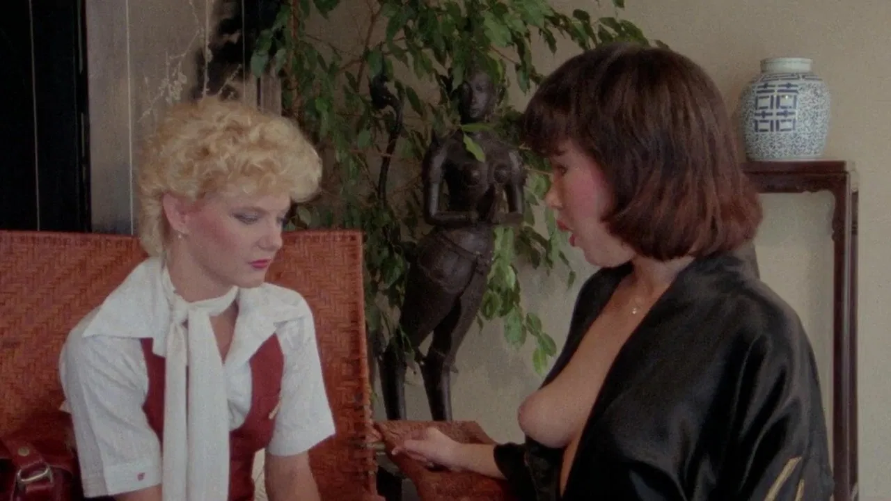 China & Silk backdrop