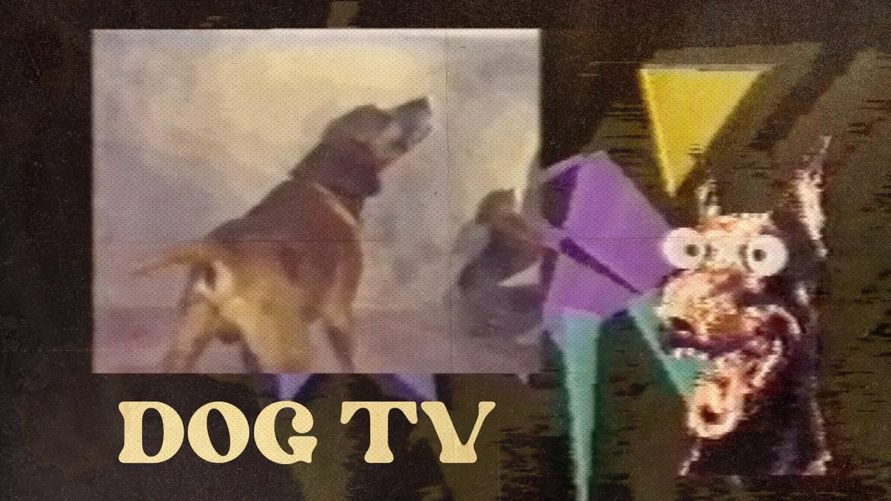 Dog TV backdrop