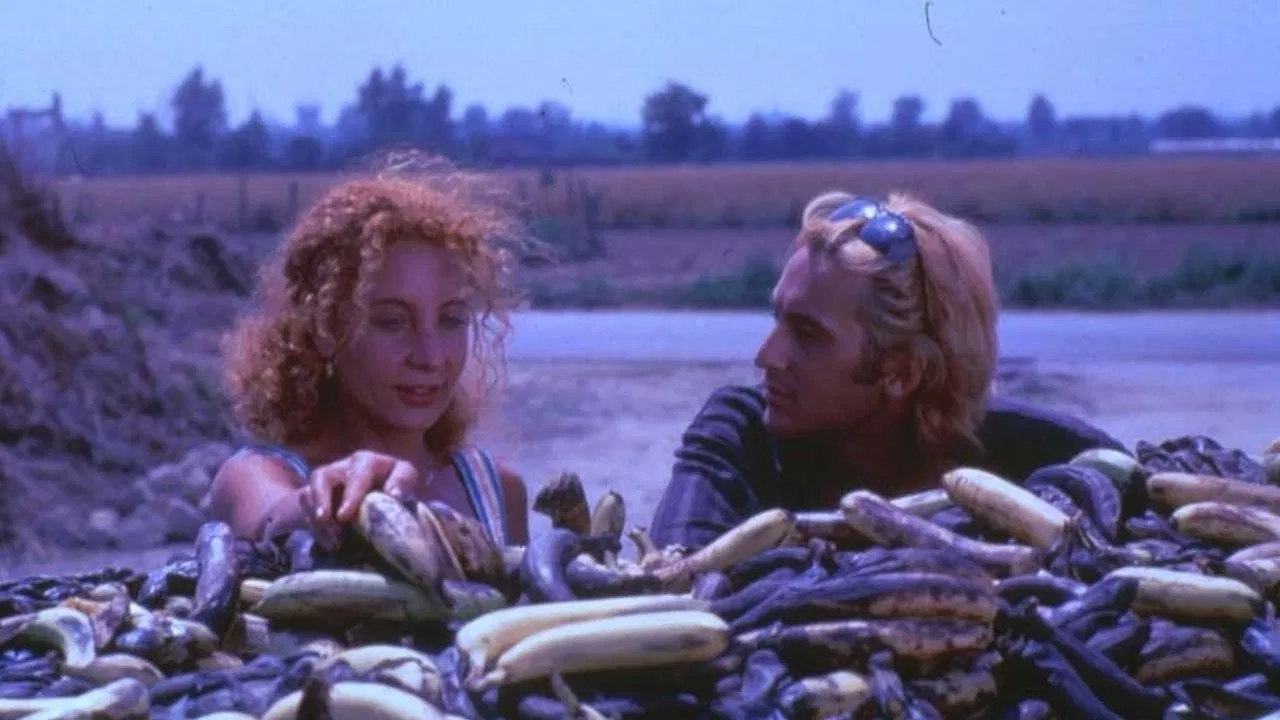 Black Holes backdrop