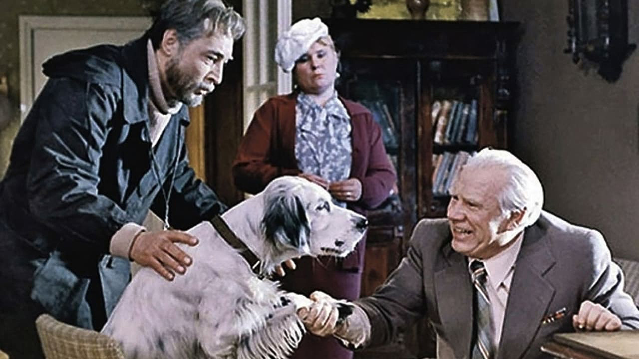 White Bim Black Ear backdrop