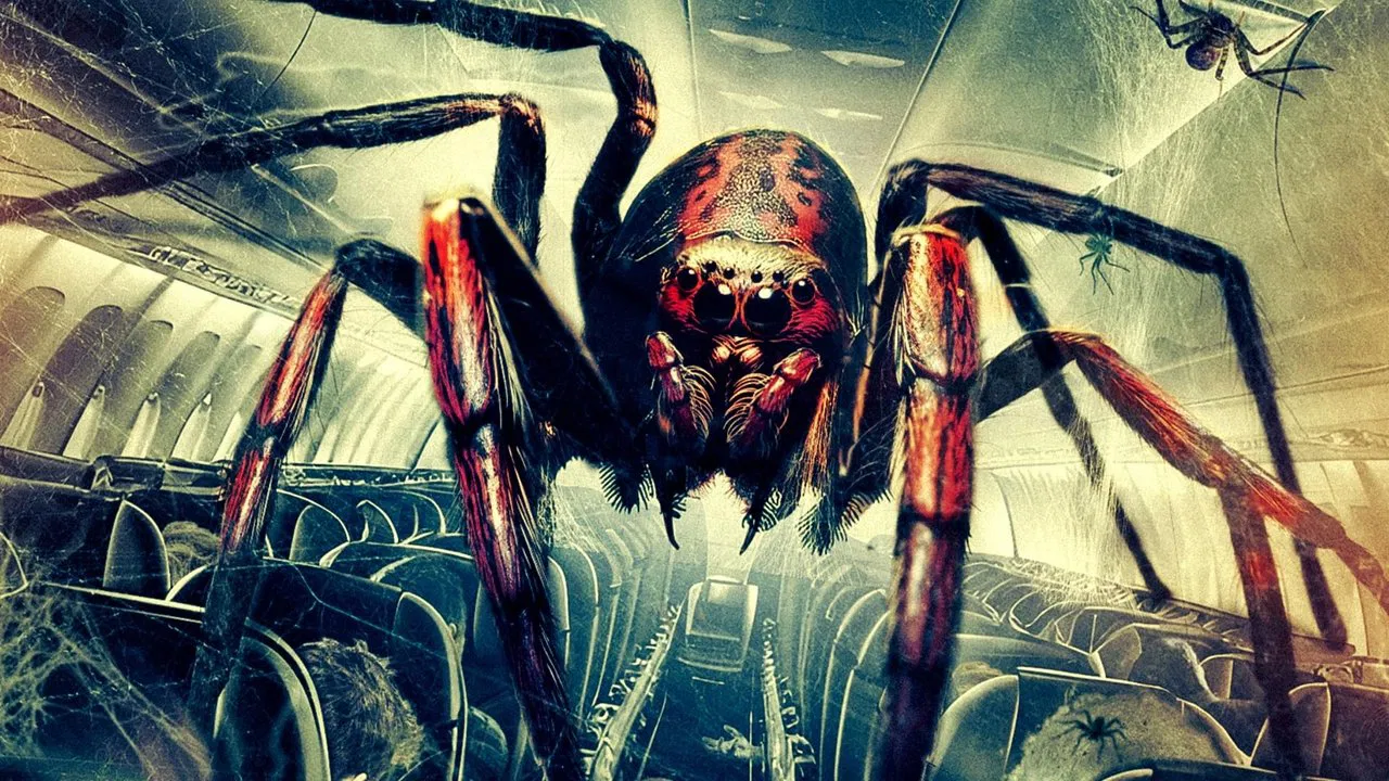 Spiders on a Plane backdrop