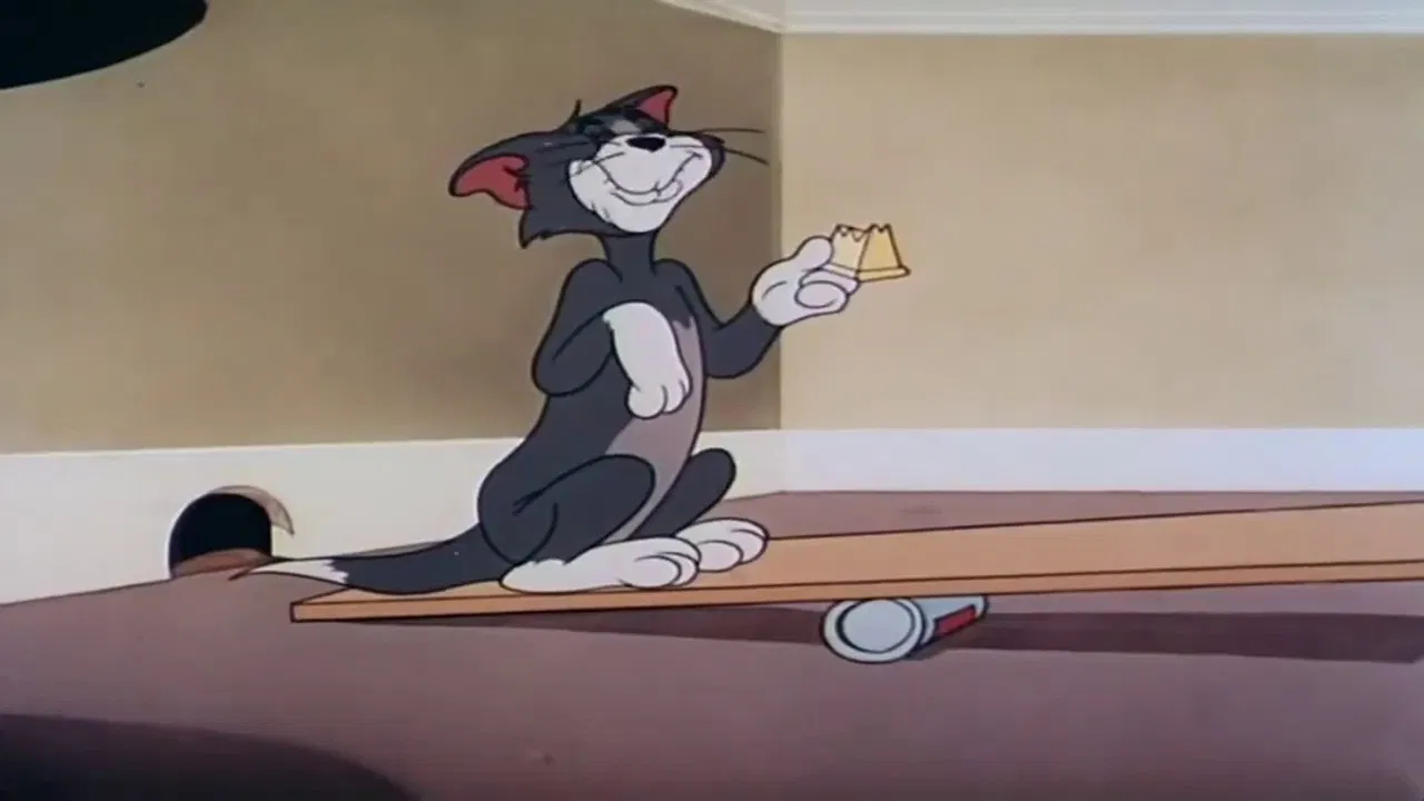 Shutter Bugged Cat backdrop