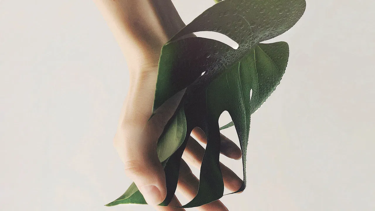 Regeneration backdrop